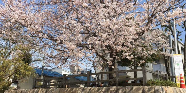 桑田公園